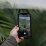 Wie Fotos vom iPhone auf den PC übertragen