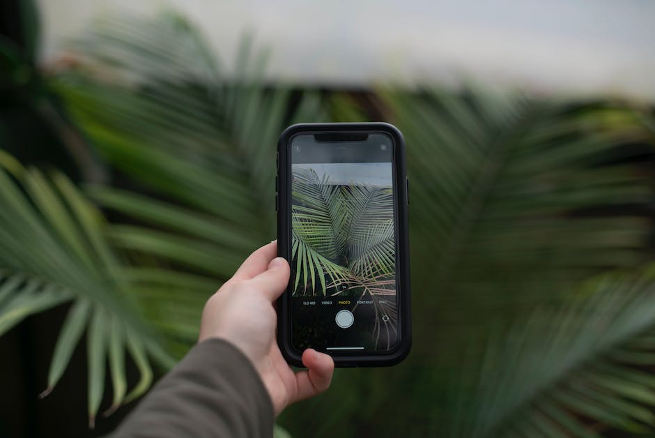 Wie Fotos vom iPhone auf den PC übertragen