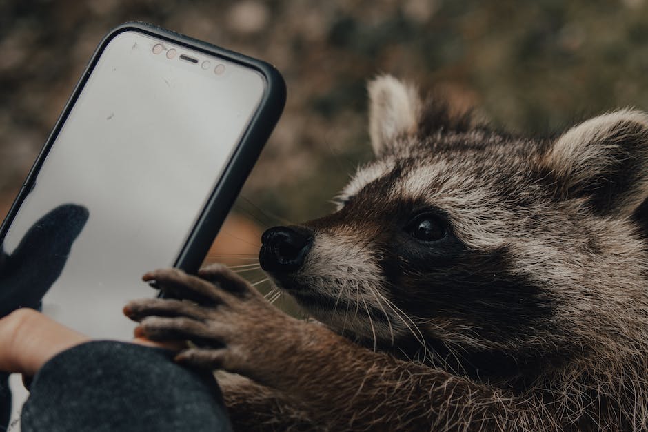  Fotos vom Smartphone auf den PC übertragen