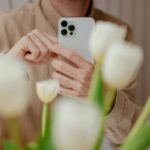 Fotos vom iPhone auf den PC übertragen